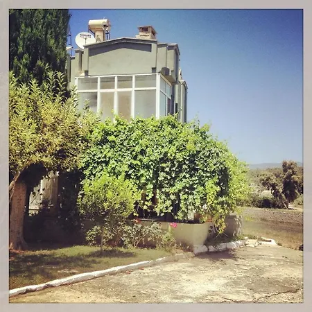 Sahin * Alanya